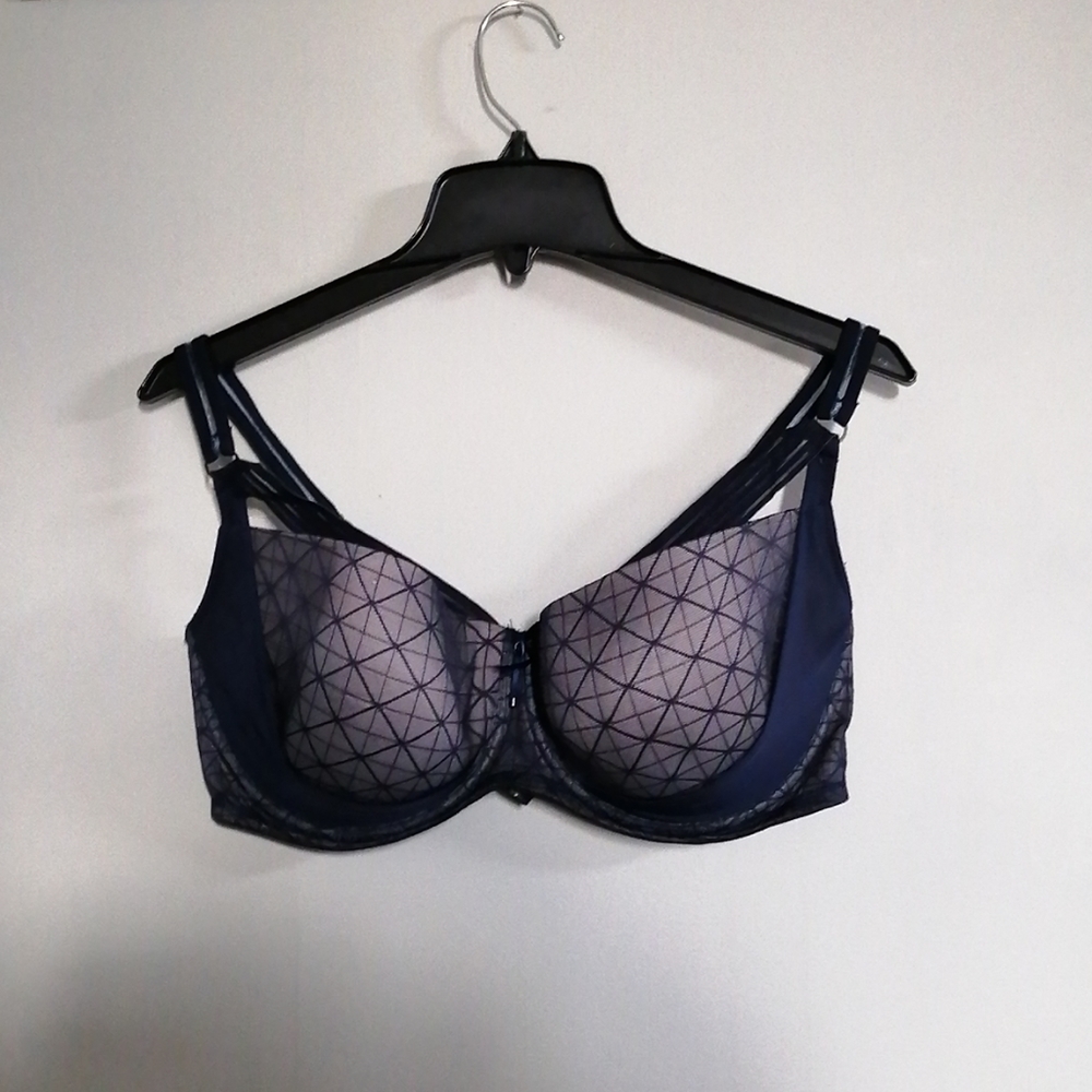 Ashley Graham bra